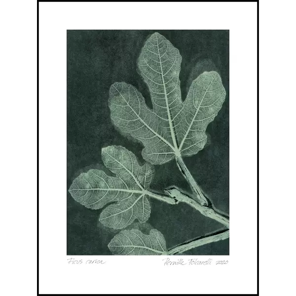 Pernille Folcarelli - Nummeret og signeret, Dark Teal 70*100