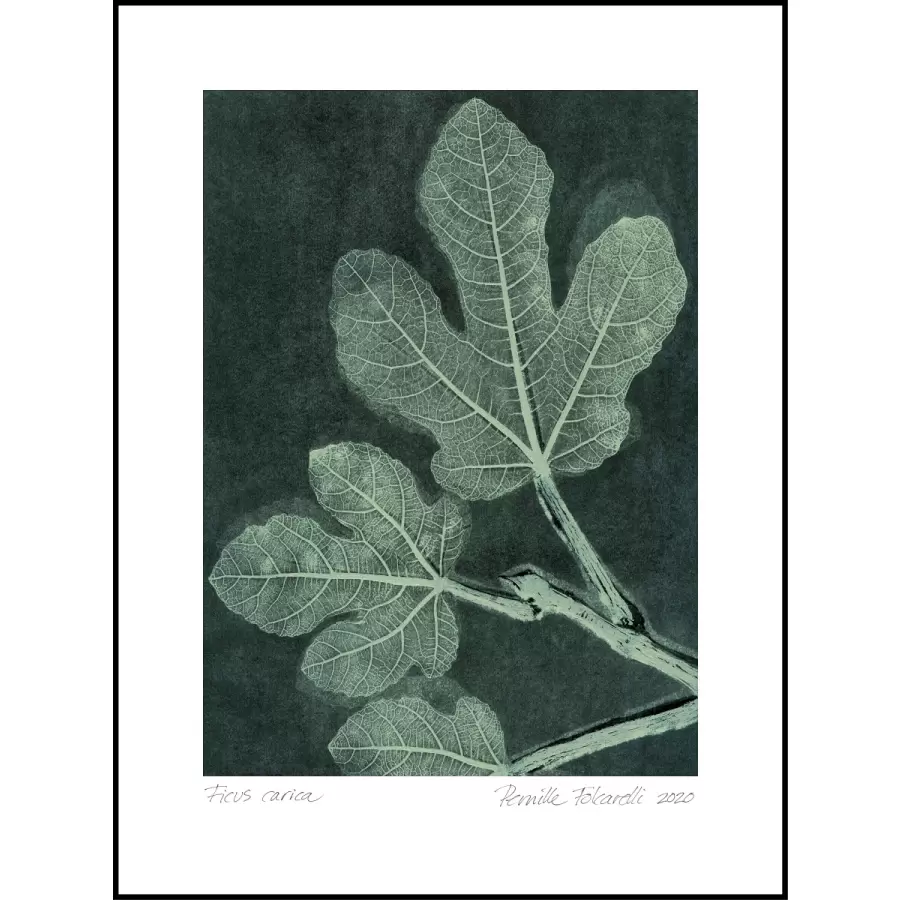 Pernille Folcarelli - Nummeret og signeret, Dark Teal 70*100