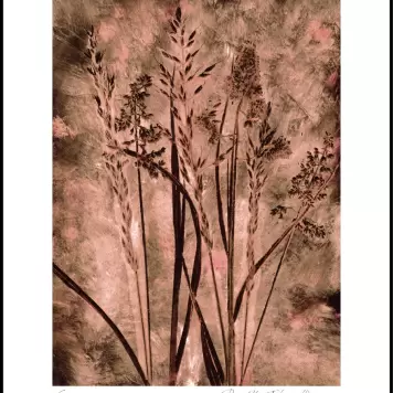 Pernille Folcarelli - Grass dark blush 50*70