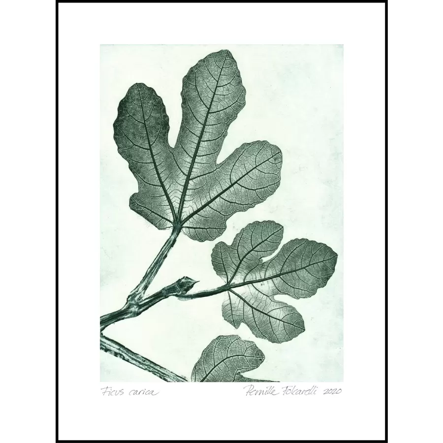 Pernille Folcarelli - Fig 1 Green 30*40
