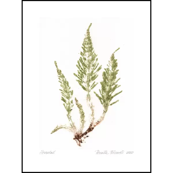 Pernille Folcarelli - Horsetail Crisp Green 30*40