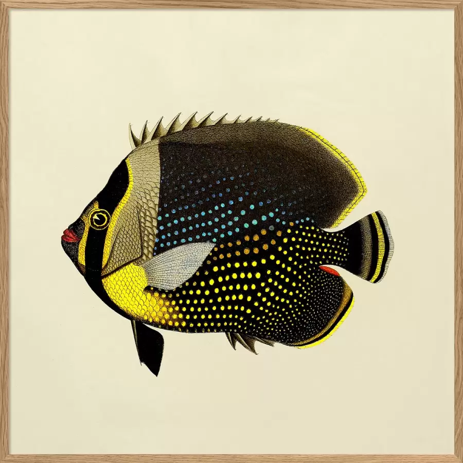 The Dybdahl Co. - Black Fish #5612, 30*30