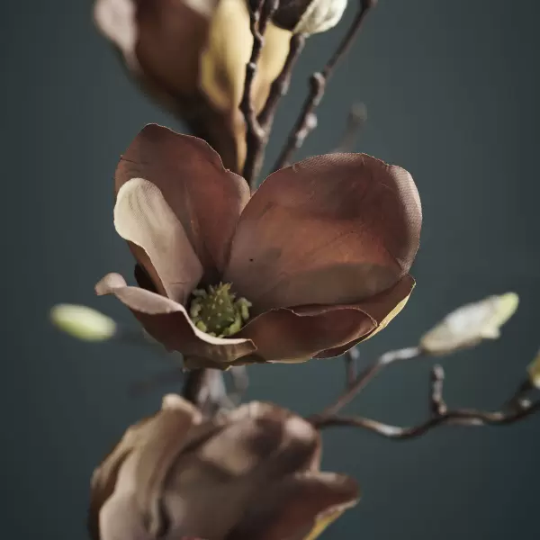House Doctor - Flower Magnolia, Brun