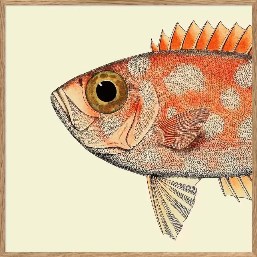 The Dybdahl Co. - Dottet Orange fish Head #5610, Left 