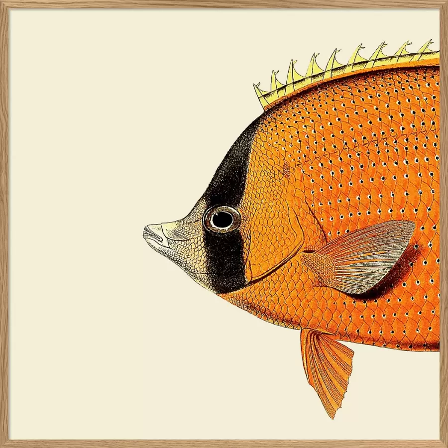 The Dybdahl Co. - Orange Fish Head #5608