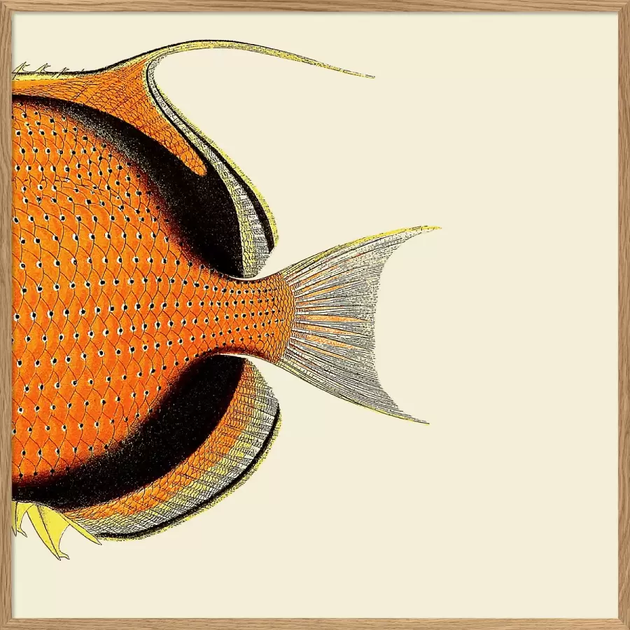 The Dybdahl Co. - Orange Fish Tail #5609