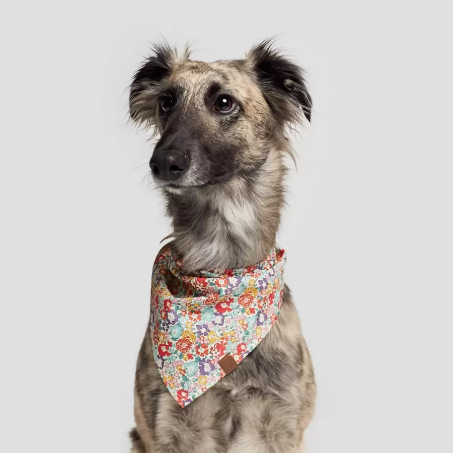 Cloud7 - Hunde bandana Flower Meadow, L