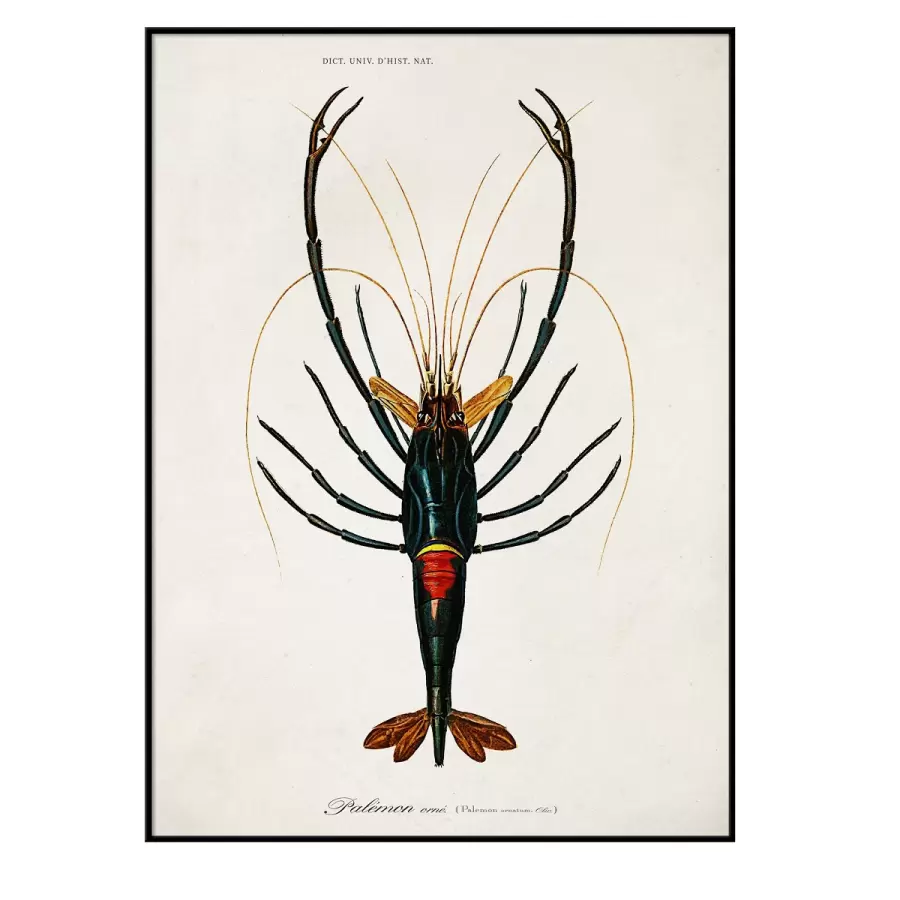 The Dybdahl Co. - Crayfish #6601 30*40 - Indrammet