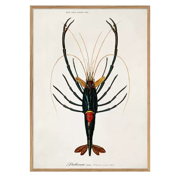 The Dybdahl Co. - Crayfish #6601 30*40 