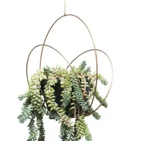 Planteplaneter/Kaja Skytte Planteplaneter/Kaja Skytte
