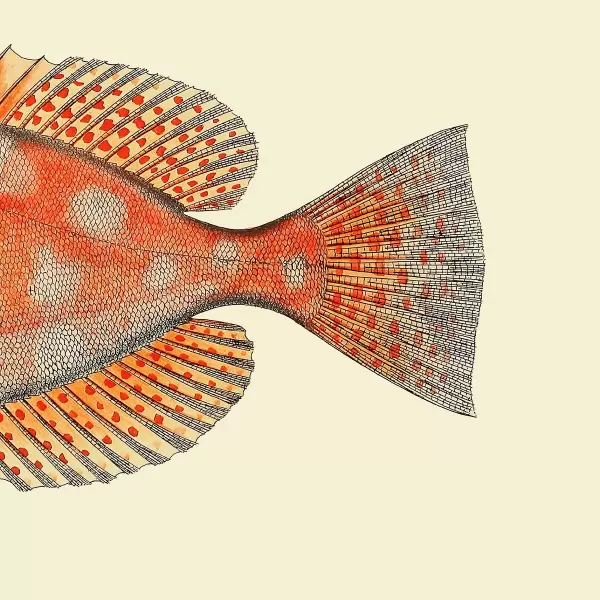 The Dybdahl Co. - Dottet Orange Fish Tail #5611