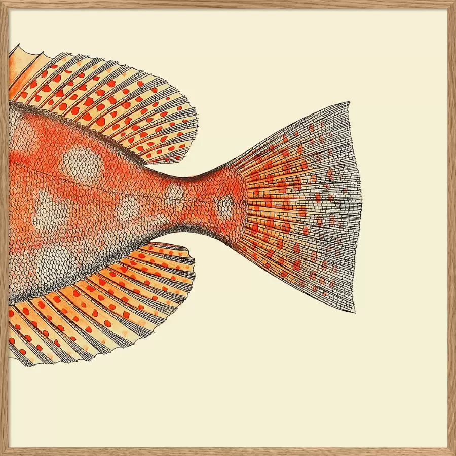 The Dybdahl Co. - Dottet Orange Fish Tail #5611, 61*61