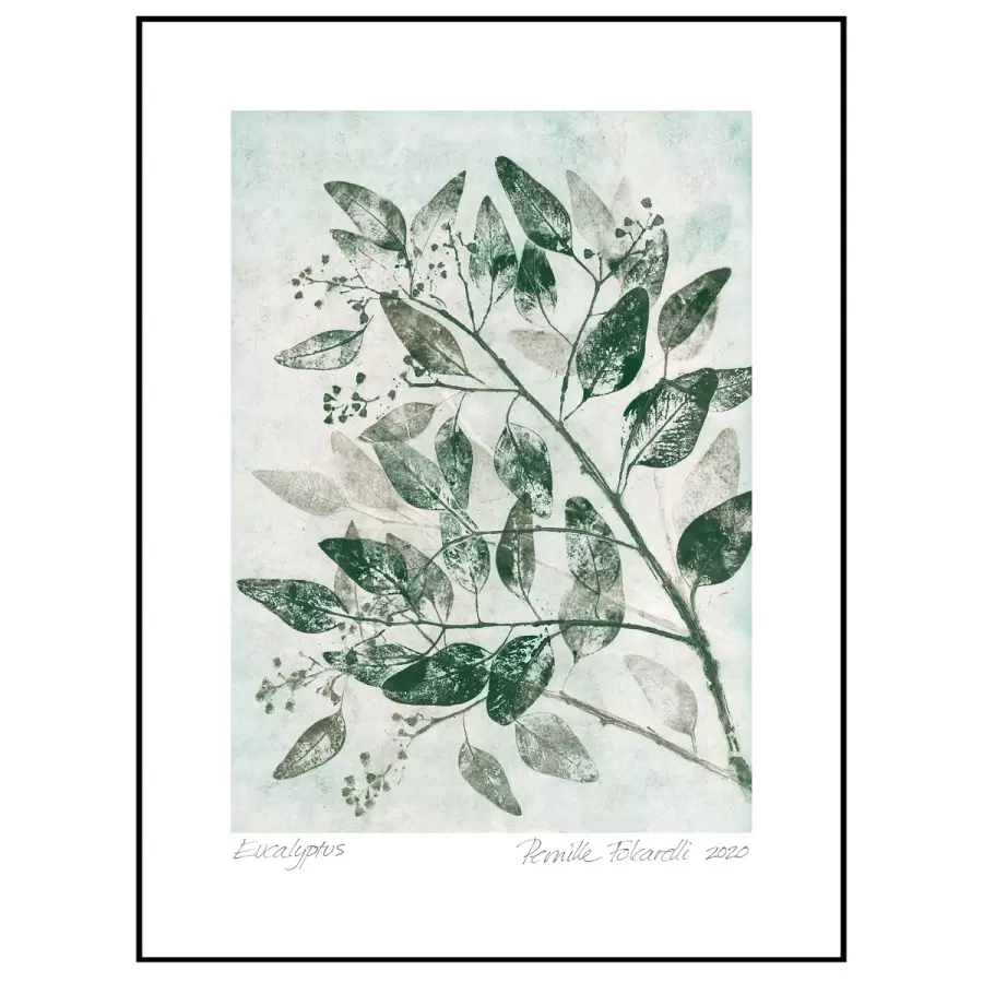 Pernille Folcarelli - Eucalyptus 1, Green 30*40