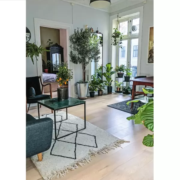 New Mags - Plantelykke, Skab grønne oaser i dit hjem