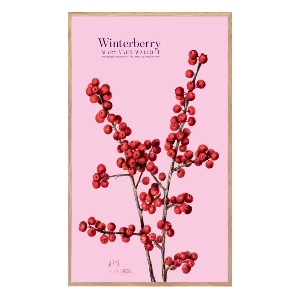 Permild og Rosengreen - Winterberry Rosa 33*55, Egetræsramme - Hent selv