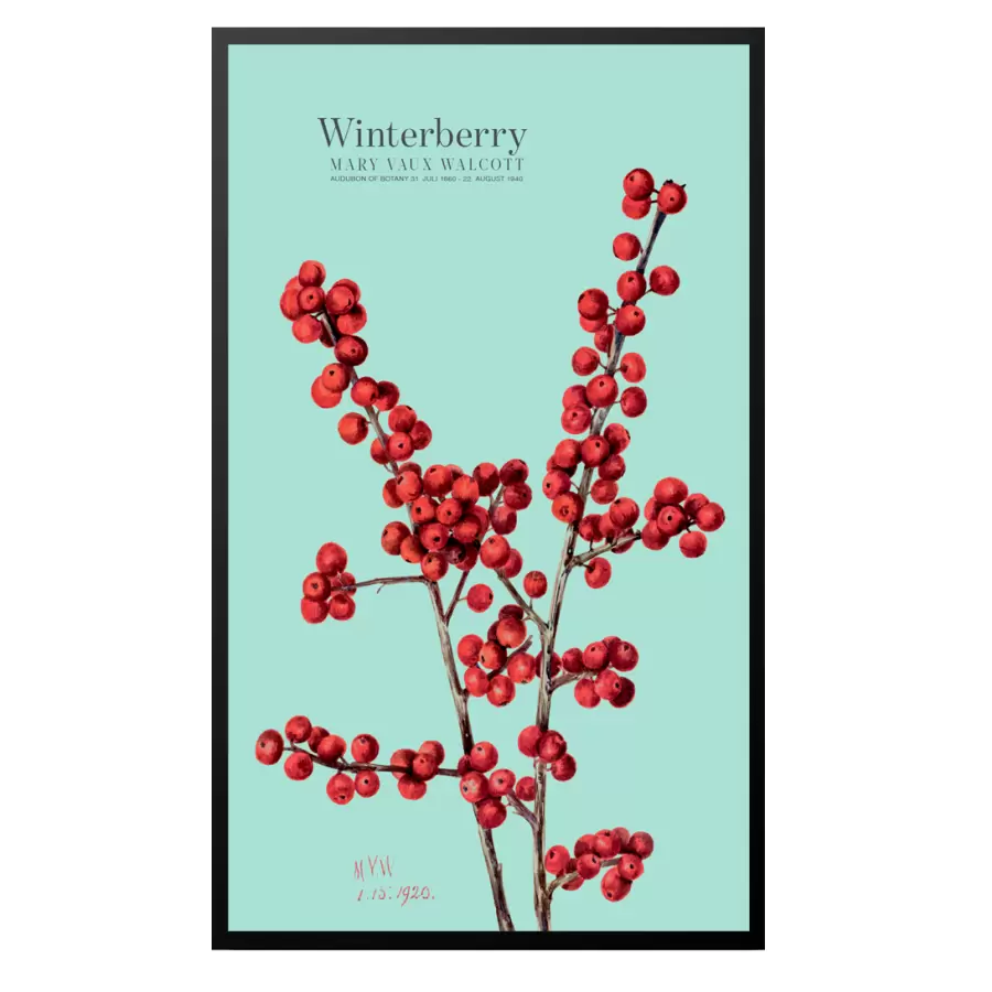 Permild og Rosengreen - Winterberry Blå 33*55, Sort egetræsramme - Hent selv