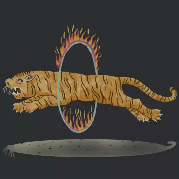 Aparte - Amazing Tiger 50*70