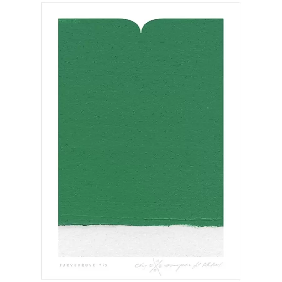 Michael Chang - Plakat Farveprøve #73, 50*70 - uden ramme
