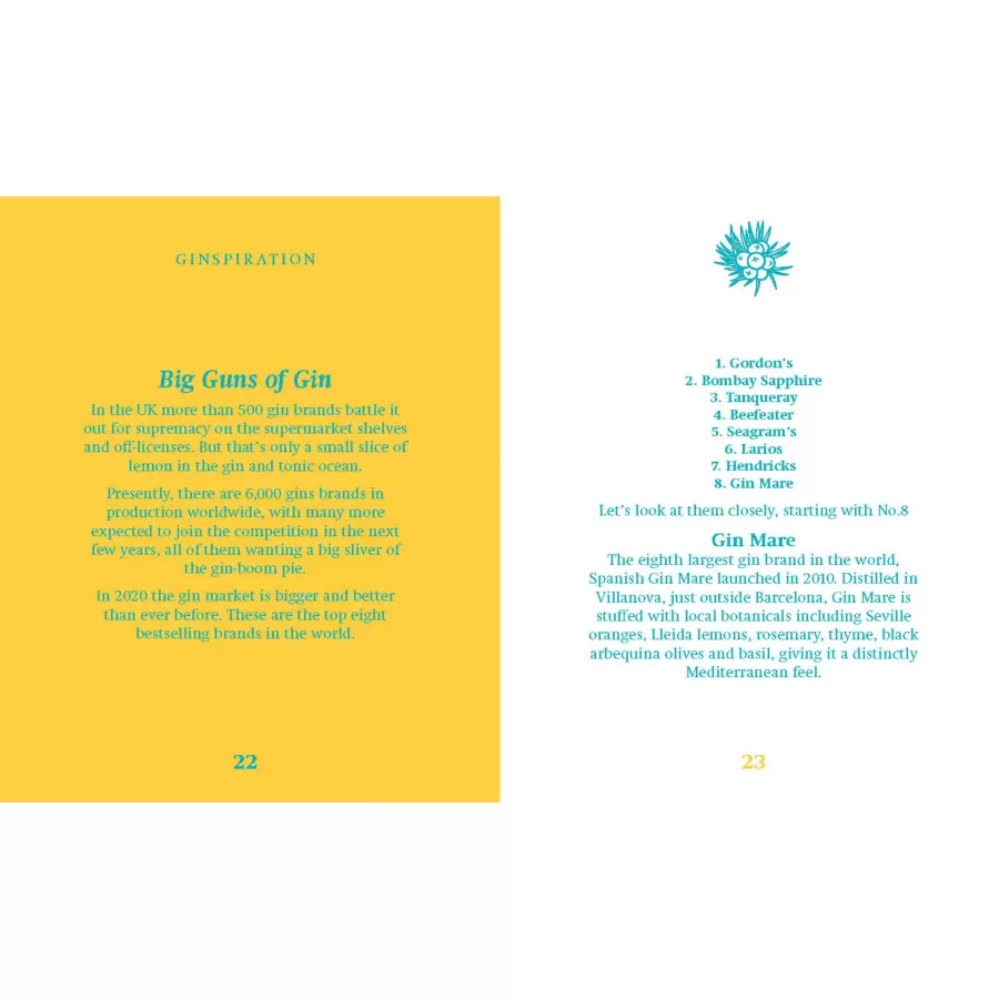 New Mags - The Little Book of Gin