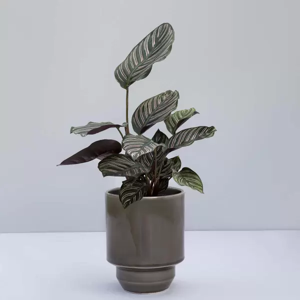 Bergs Potter - Ø:18 Krukke Glaseret The Hoff - Hent selv Bergs Potter - Ø:18 Krukke Glaseret The Hoff - Hent selv