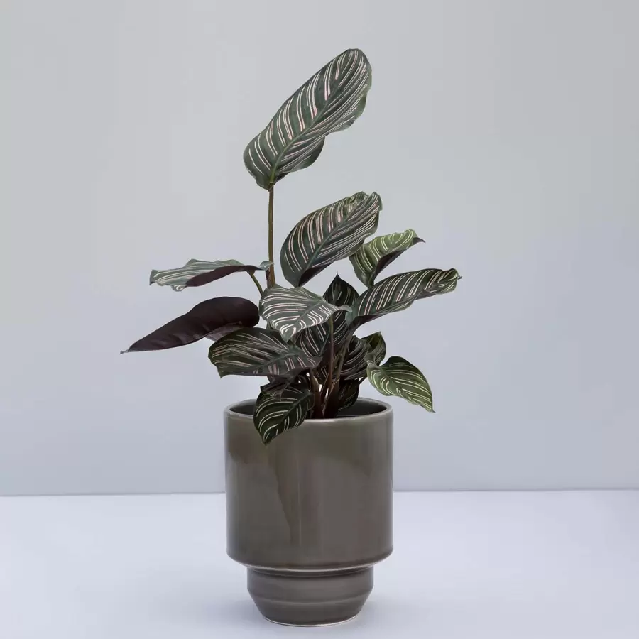 Bergs Potter -  Ø:18 Krukke Glaseret The Hoff - Hent selv