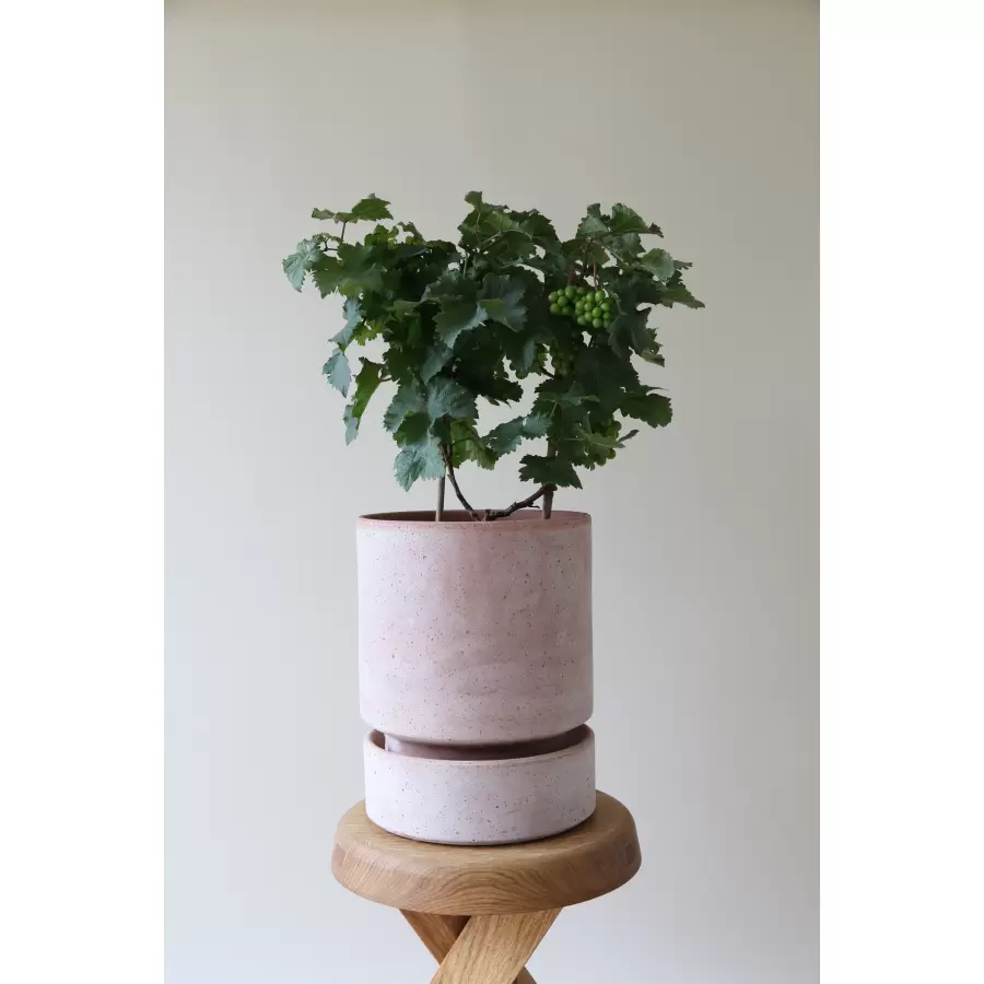Bergs Potter - Sæt - The Hoff  Pot 18, Rosa - Hent selv