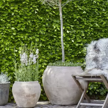 B Green - 2 krukker i sæt Eline, Anique Terracotta - Hent selv