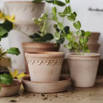 Bergs Potter - Ø:16 Københavnerpotten, Rosa