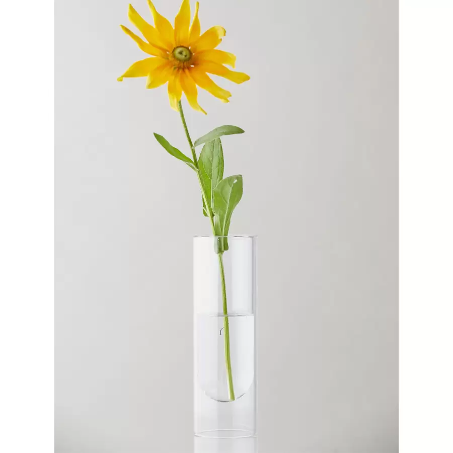 Studio About - Flower Tube, tall Tube, Transparent