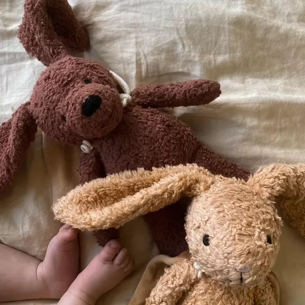 Sleeping Hero - Sleeping Hero, Hund H:24