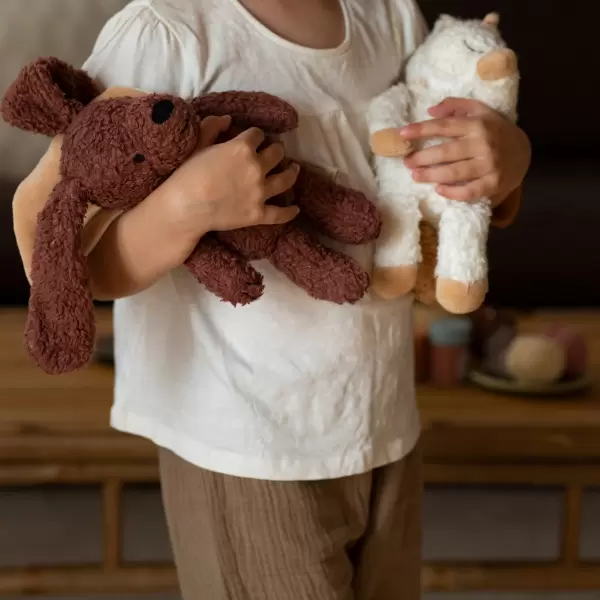 Sleeping Hero - Sleeping Hero, Hund H:24