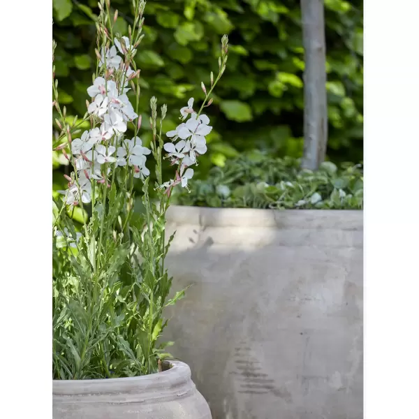 B Green - Eline Anique, L - Sendes ikke 