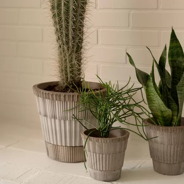 Bergs Potter - Ø:21 Atlas Uglaseret, Grå inkl underskål - Hent selv Bergs Potter - Ø:21 Atlas Uglaseret, Grå inkl underskål - Hent selv