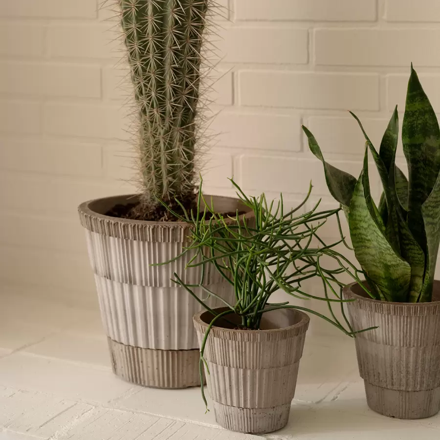 Bergs Potter - Ø:25 Atlas Raw Grey inkl. underskål - Hent selv