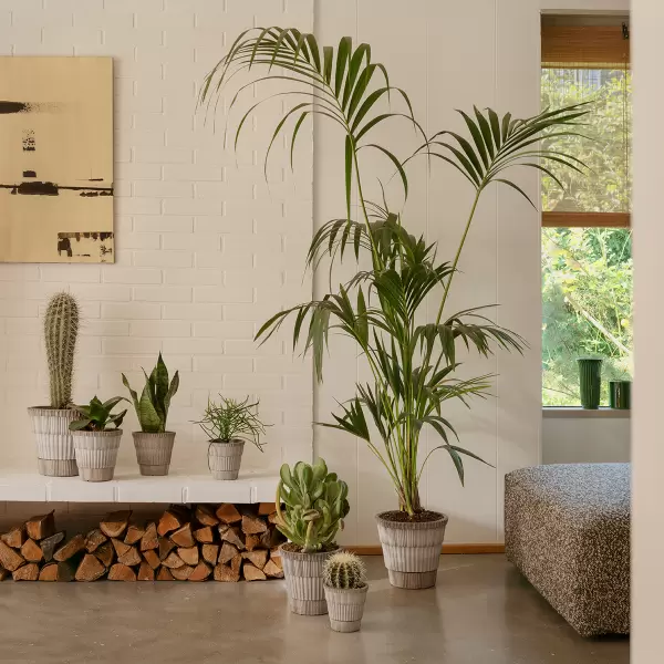 Bergs Potter - Ø:25 Atlas Raw Grey inkl. underskål - Hent selv Bergs Potter - Ø:25 Atlas Raw Grey inkl. underskål - Hent selv