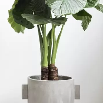 Serax - Krukke Beton Urban Jungle by Marie Michielssen, Ø:30*30 Serax - Krukke Beton Urban Jungle by Marie Michielssen, Ø:30*30