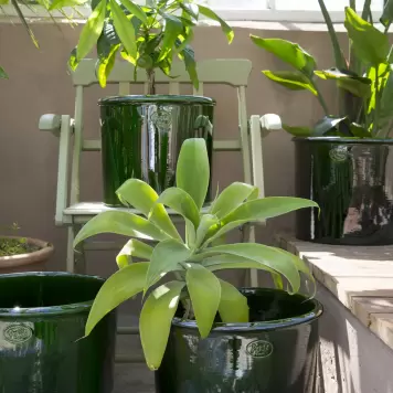 Bergs Potter - Ø:35 Krukke Modena, Emerald Green - Hent selv