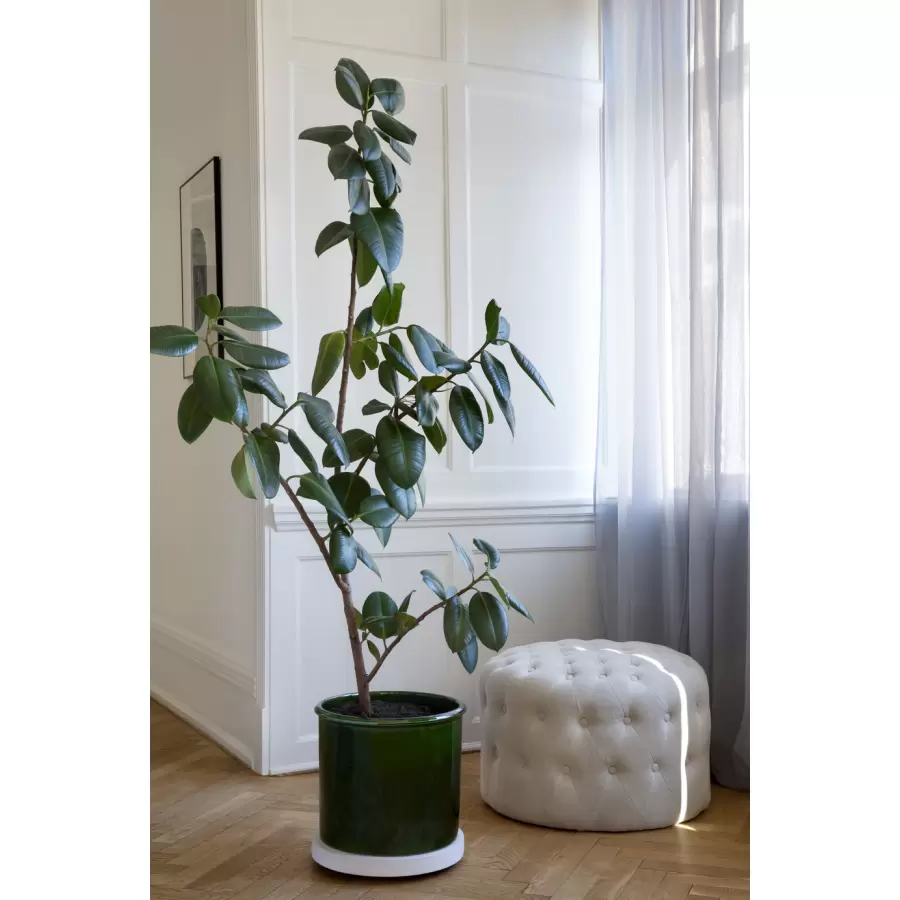 Bergs Potter - Ø:35 Krukke Modena , Emerald Green - Hent selv