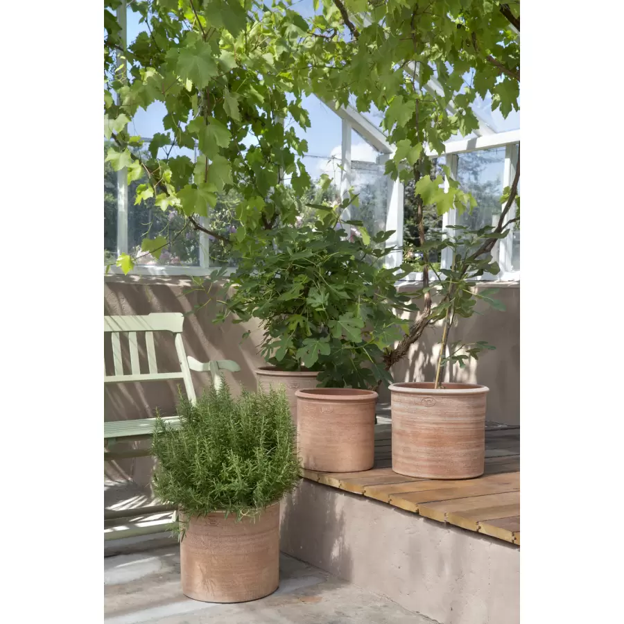 Bergs Potter - Ø:40 Modena  Stor Krukke+Underskål Rosa - Hent selv