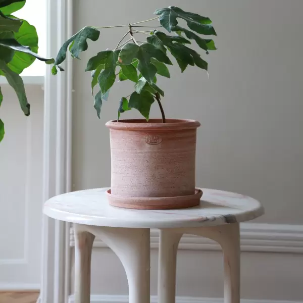 Bergs Potter - Ø:40 Modena Krukke+Underskål Rosa - Hent selv