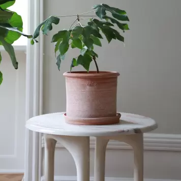 Bergs Potter - Ø:40 Modena  Stor Krukke+Underskål Rosa - Hent selv