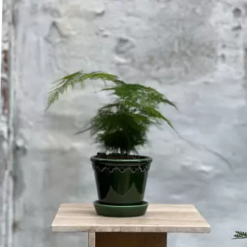 Bergs Potter - Ø:12 Københavnerpotten, Emerald Green Bergs Potter - Ø:12 Københavnerpotten, Emerald Green