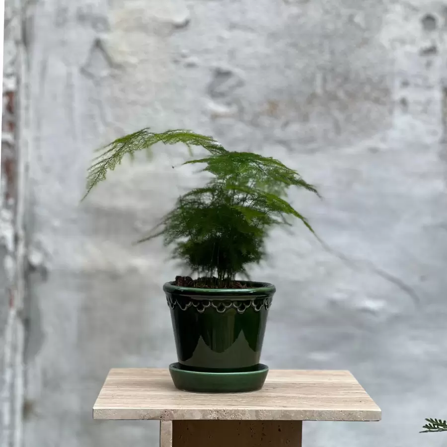 Bergs Potter - Ø:12 Københavnerpotten, Emerald Green