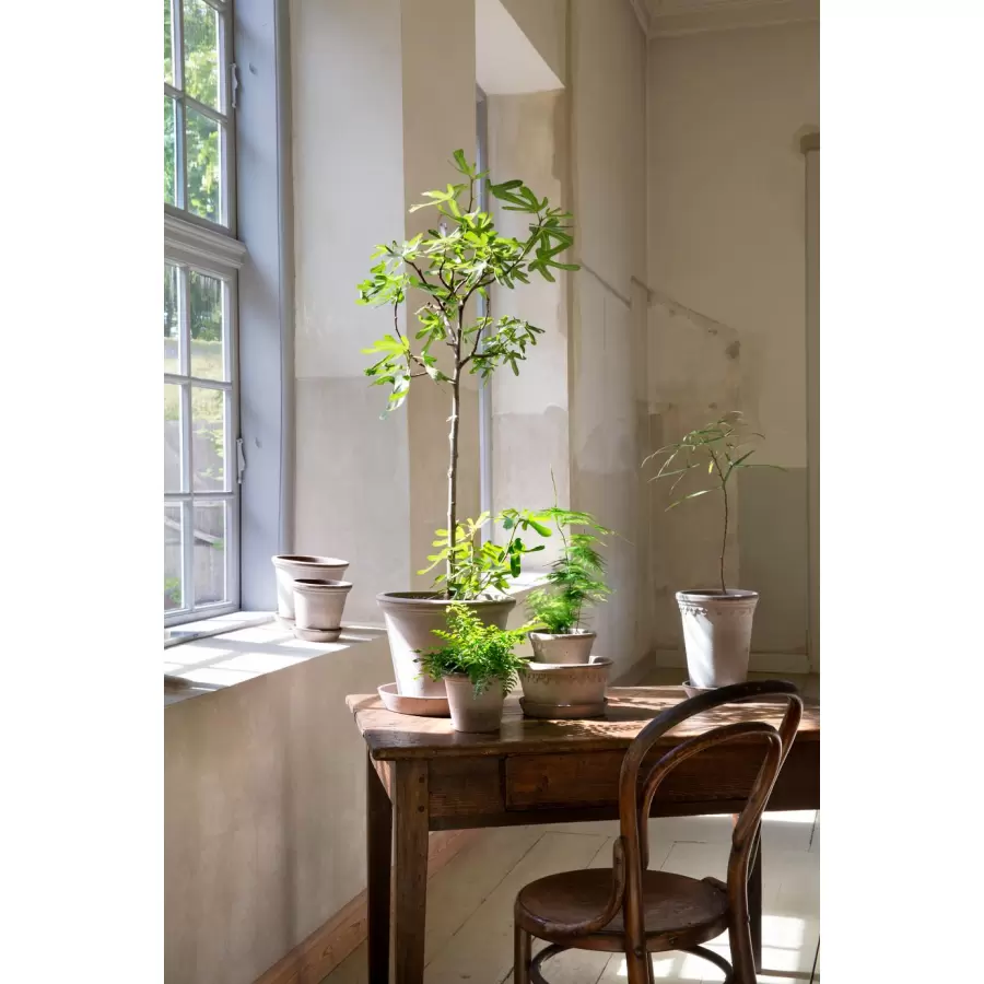 Bergs Potter - Ø:30 cm Uglaseret Københavnerpotte, Grå - Hent selv