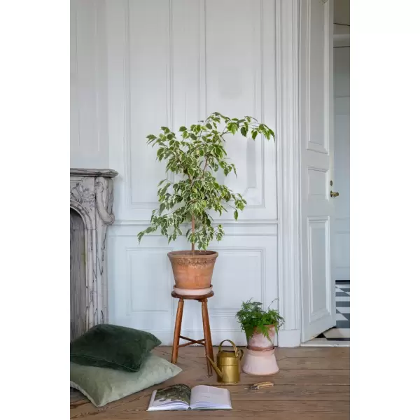 Bergs Potter - Københavner Rå Rosa, Ø 35 cm