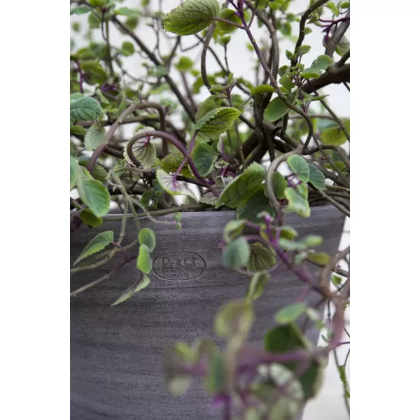 Bergs Potter - Ø:35 Uglaseret Julie Grå inkl. underskål - Hent selv