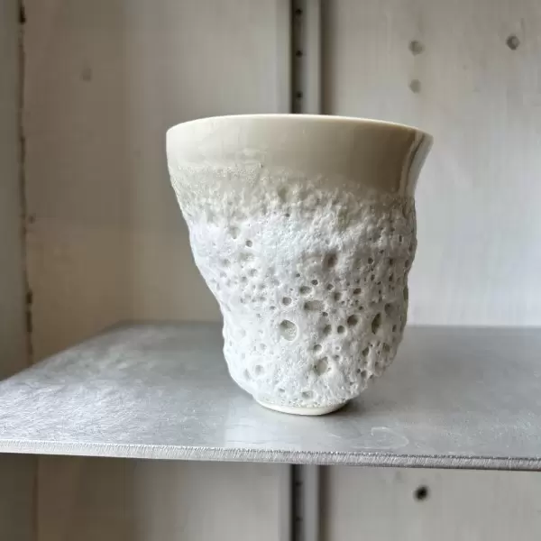 Studio Aarhus - Bølgesangs Kop 