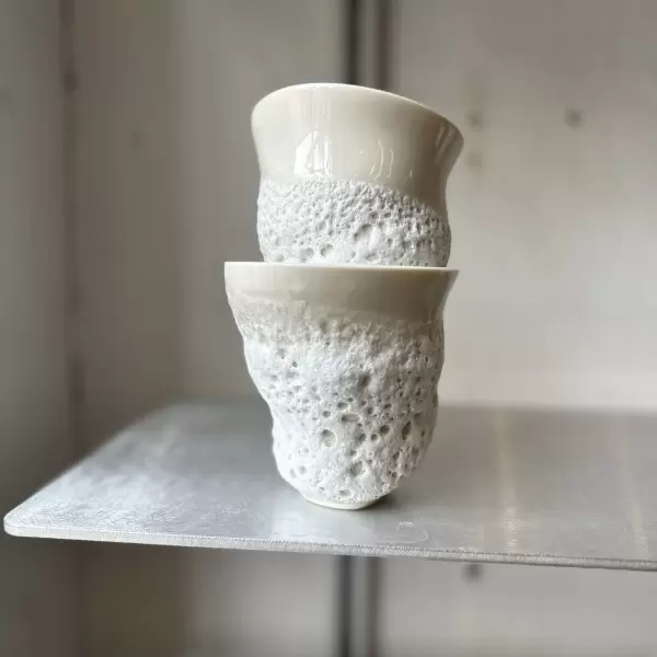 Studio Aarhus - Bølgesangs Kop 