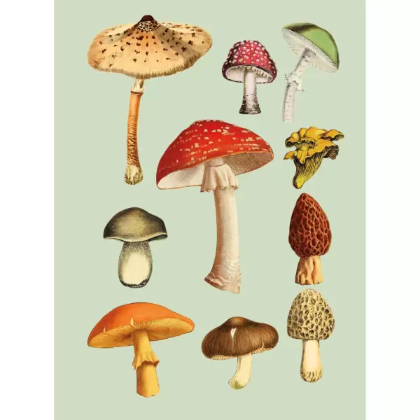 New Mags - Antiquarian Sticker Book