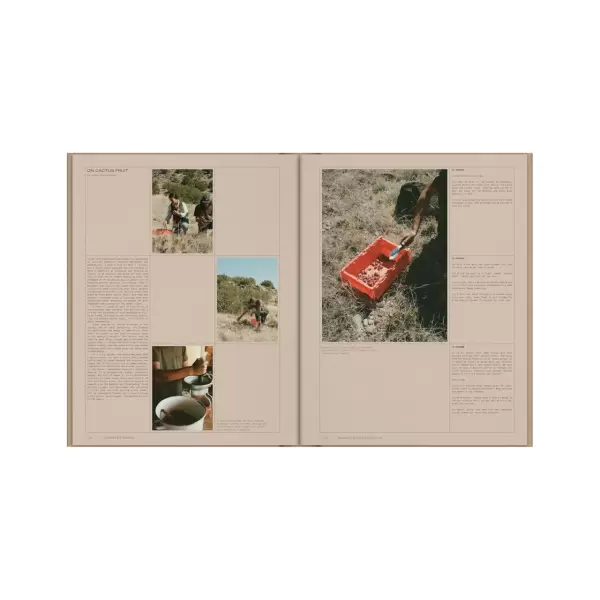 New Mags - Desert by Design